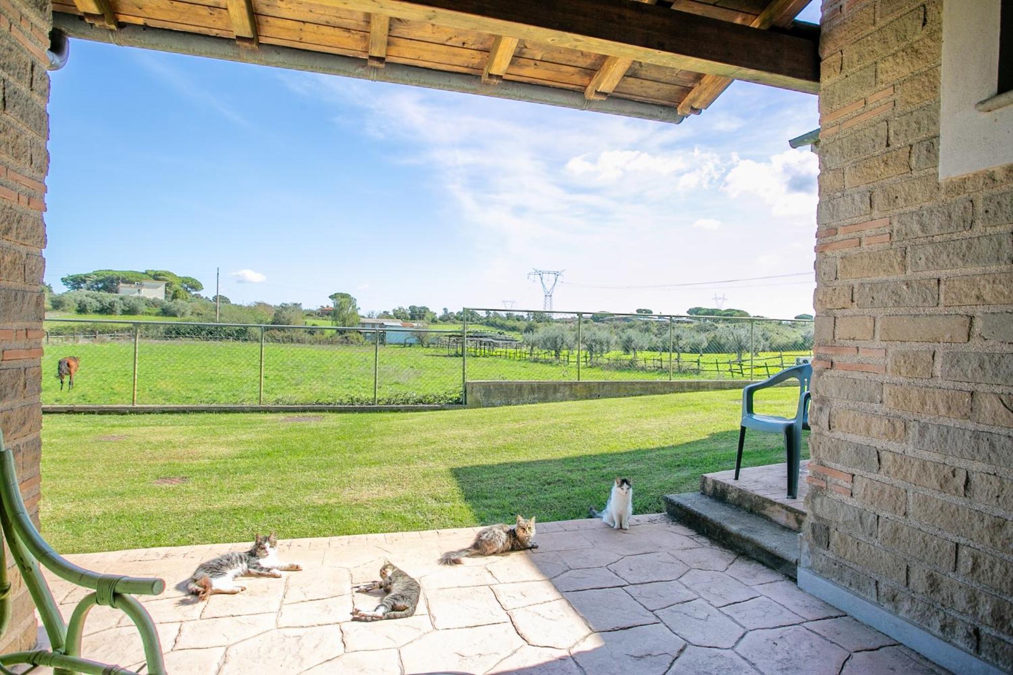 Agriturismo L.B.Stud ブラッチャーノ エクステリア 写真
