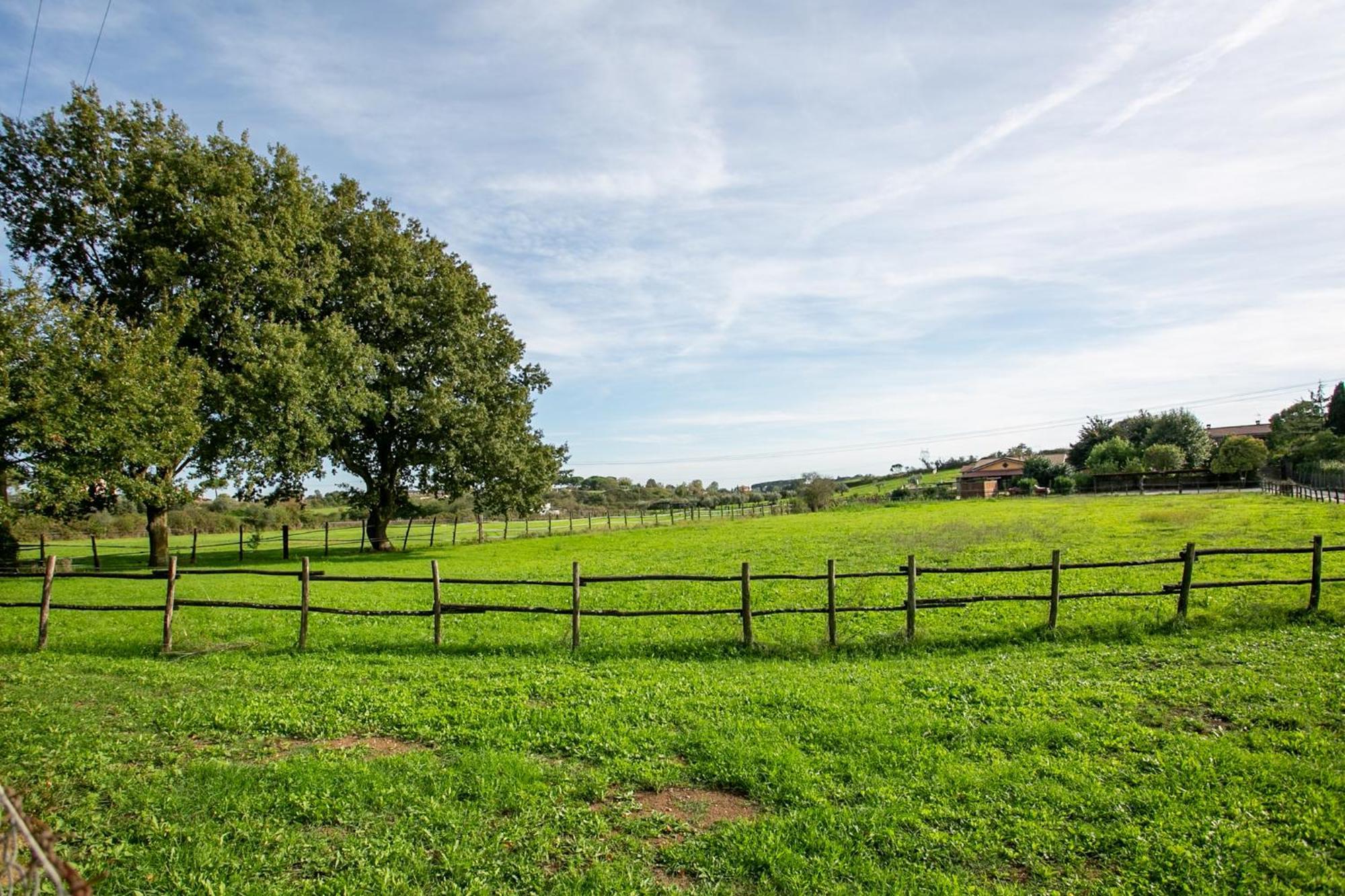 Agriturismo L.B.Stud ブラッチャーノ エクステリア 写真